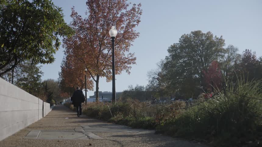 Person in a black coat walking on a sidewalk surrounded by trees outdoors