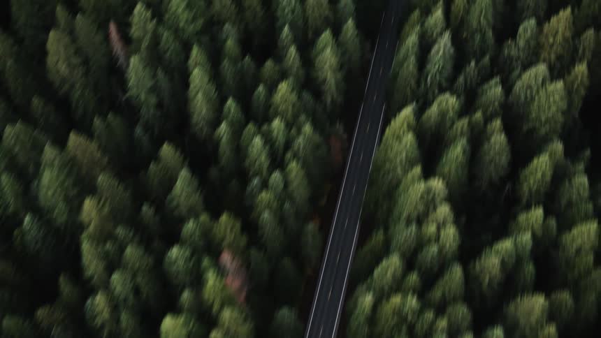 A straight paved road cutting through a dense green forest viewed from a high angle