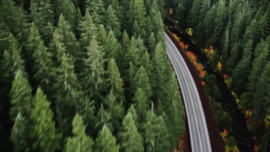 An aerial view of a winding road cutting through a dense forest of evergreen trees with patches of colorful autumn foliage