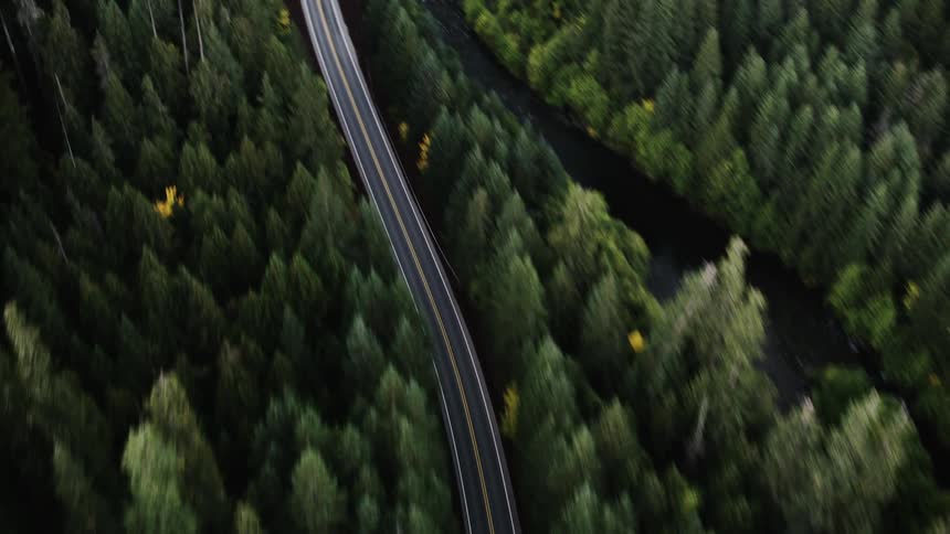 A straight paved road cutting through a dense green forest viewed from a high angle