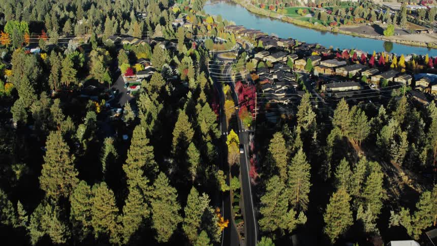 An aerial view of a complex road intersection surrounded by a dense forest with buildings and a river visible bathed in the warm light of late afternoon