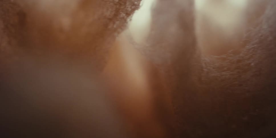 A closeup view of the interior of a cottonlike structure illuminated by shifting colorful lights