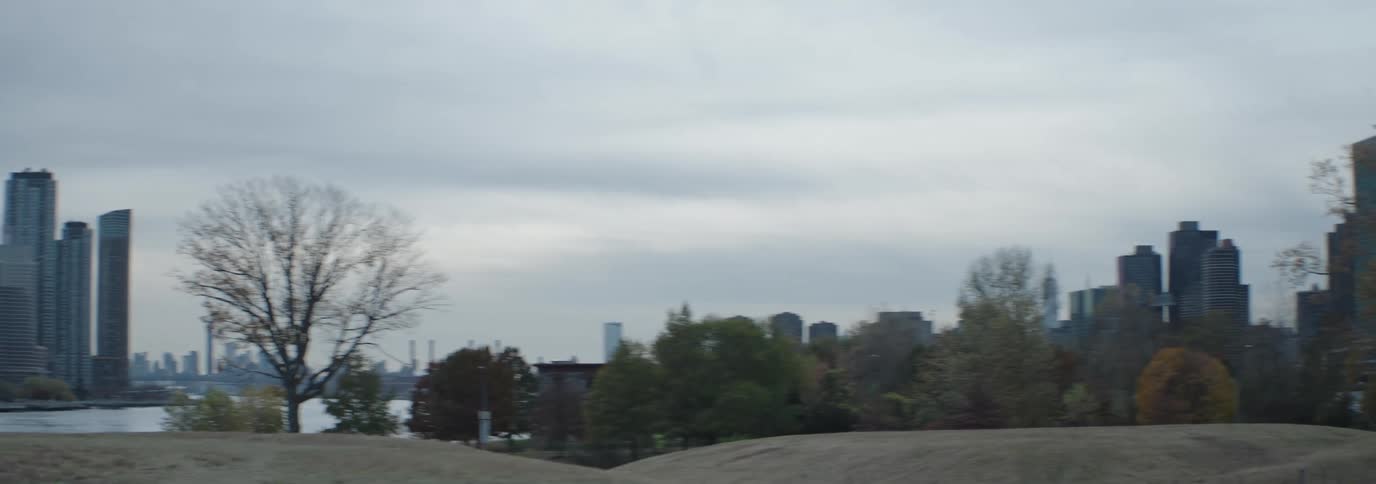 A cityscape with tall buildings and a single tree in the foreground framed by a hazy sky