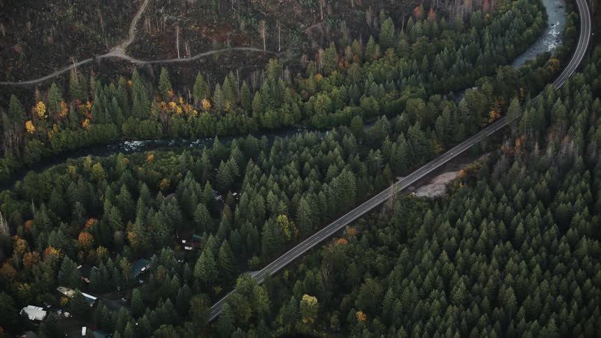 A curving highway cutting through forest trees alongside a river