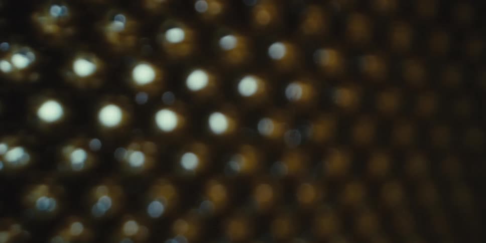 A clip of an honeycomb