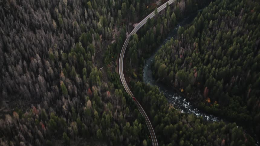 An aerial view of a railway track curving through a dense forest with a river running parallel to it