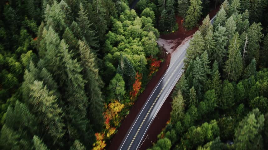 A lone car drives on the winding road going through the woods