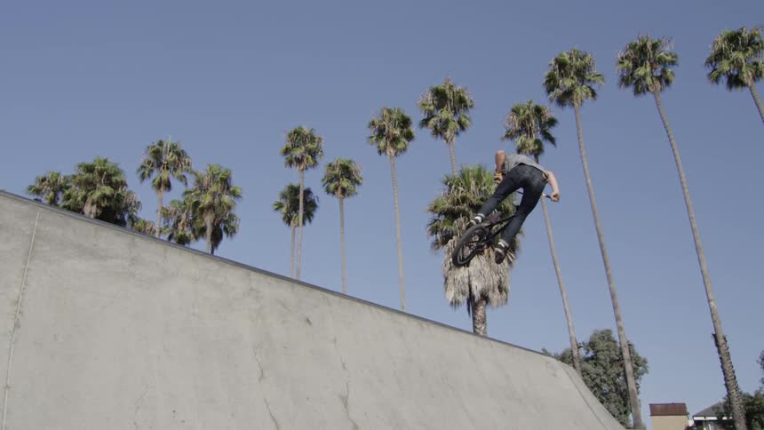 Man jumps his bike over a slope in a park with palm trees overhead