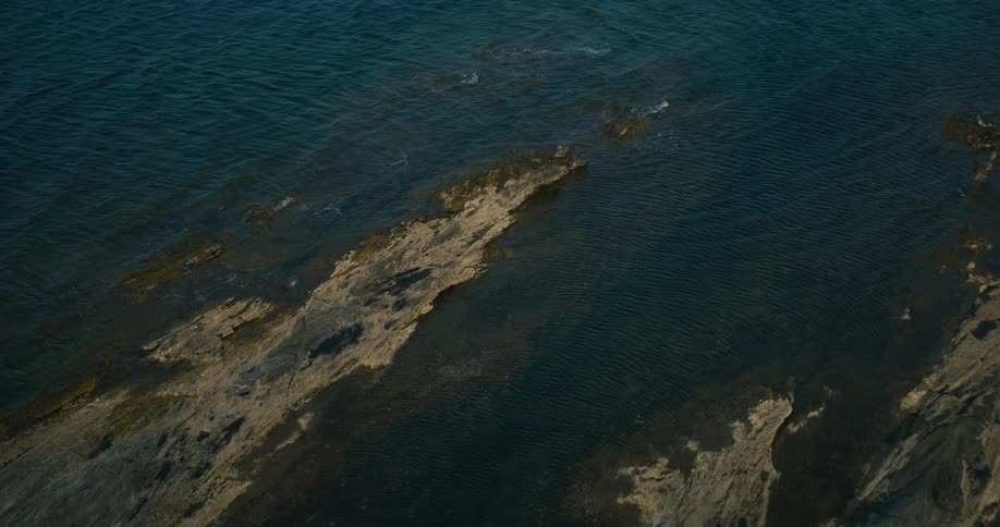 A rocky coastline with patches of seaweed and barnacles contrasting against the deep blue ocean