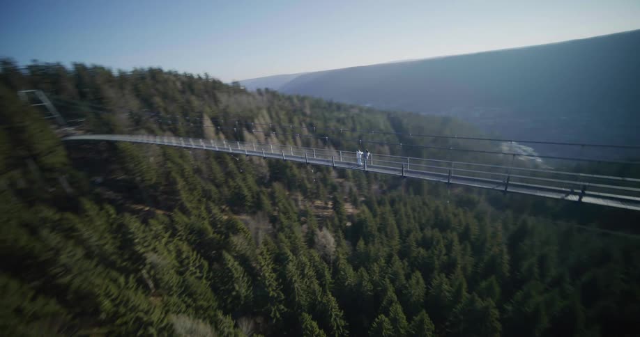 A bridge rests high above a vast green forest under a clear sky