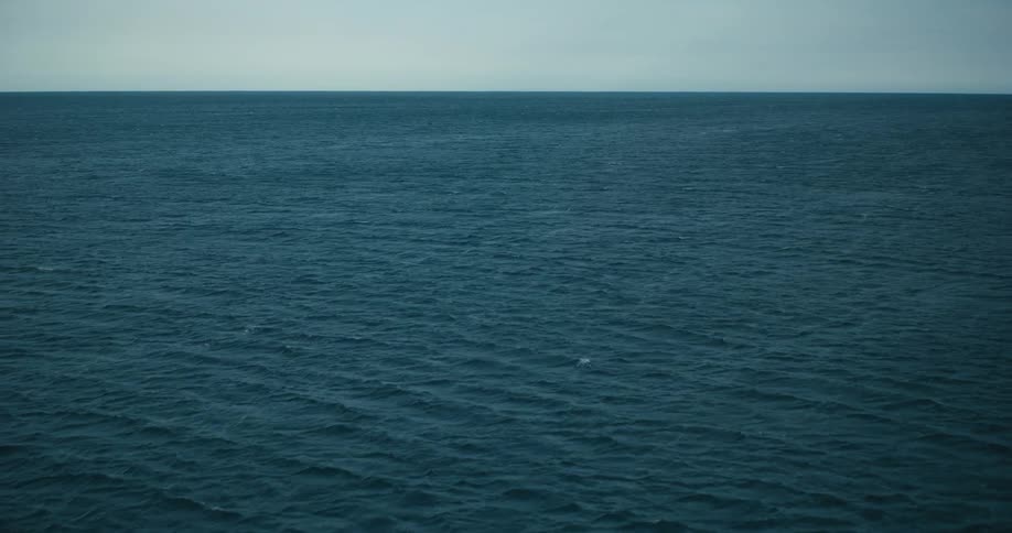 A vast expanse of calm blue ocean stretching towards a clear bright horizon