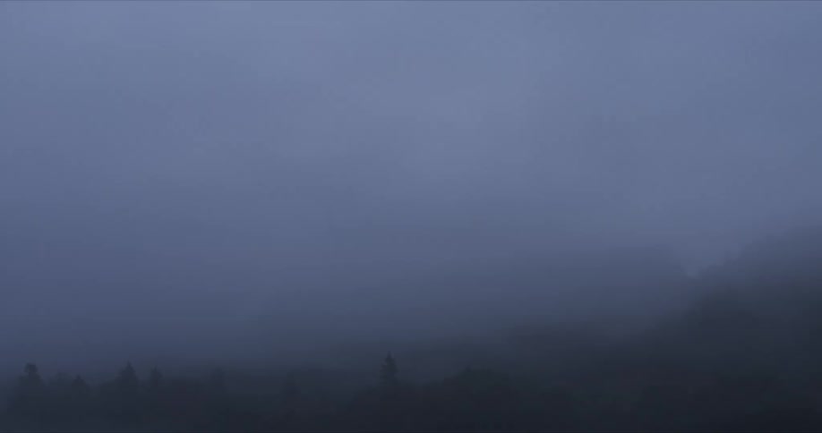 Landscape shrouded in blue mist with silhouettes of trees and mountains