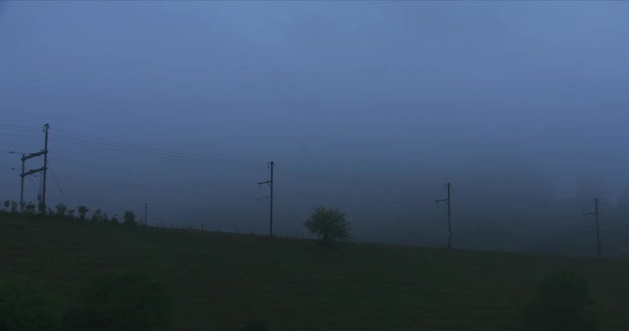 Countryside landscape covered in a blue haze where power poles and isolated trees stand out against the empty horizon