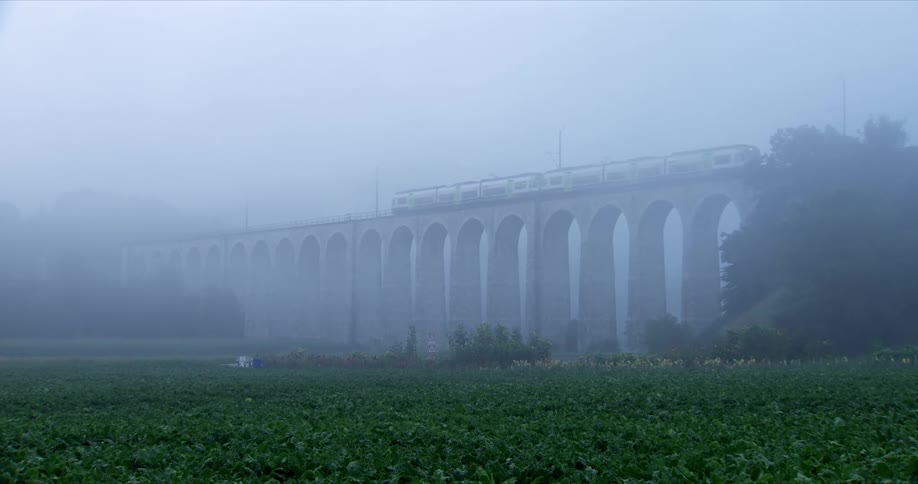 A train passing through a viaduct over a road surrounded by vegetation and fog