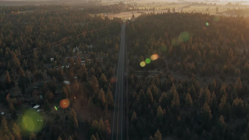 Sun shines from the horizon onto houses in a conifer forest containing patches of snow