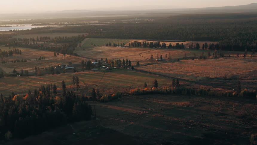 Farm sits among fields bordering conifer woods on a foggy day