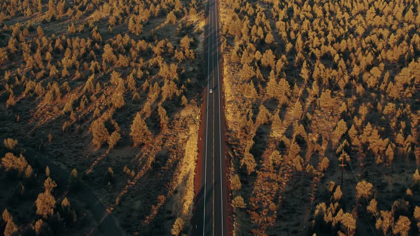 A car drives down a road that is between two heavily wooded areas
