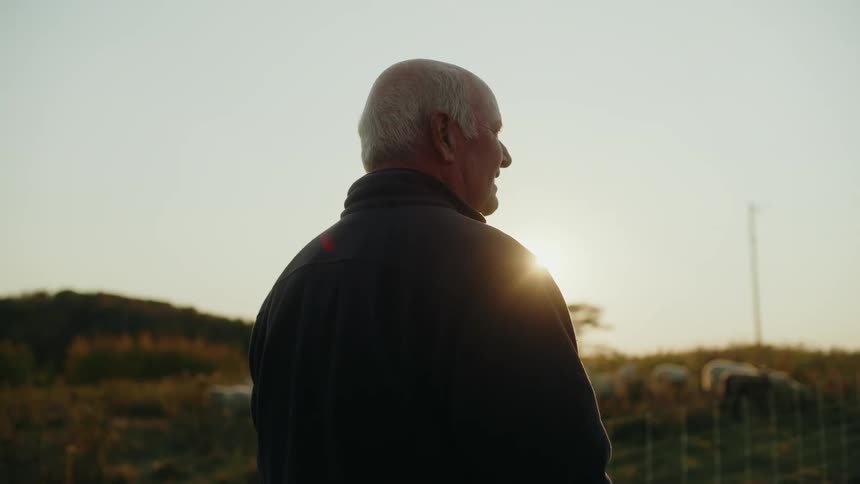 The back of an elderly man wearing black clothing and looking forward in an environment with grass and strong sunlight coming from the front