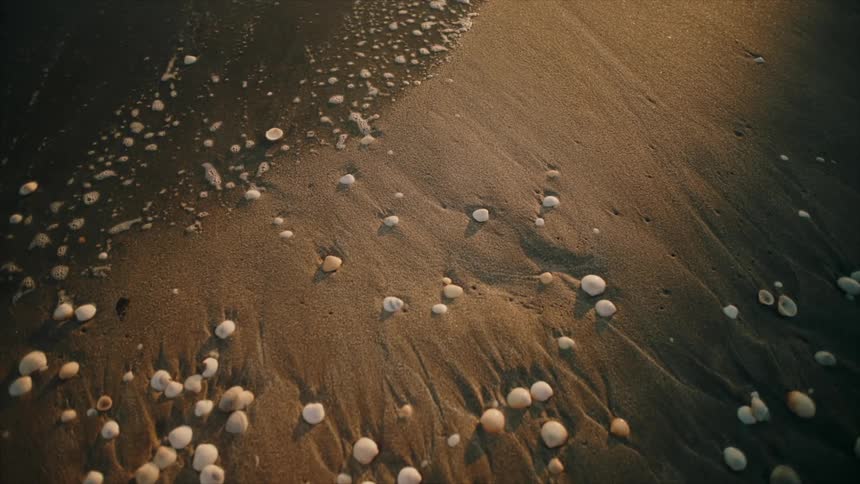 A sandy beach with small seashells scattered across the shore as gentle waves from the ocean wash up onto the sand