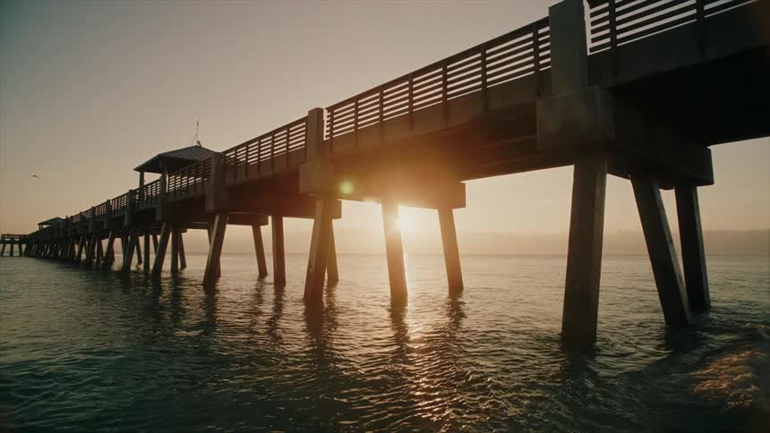 Birds fly over the pier at sunrise