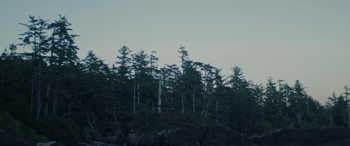 Heavy clouds are over the dark forest