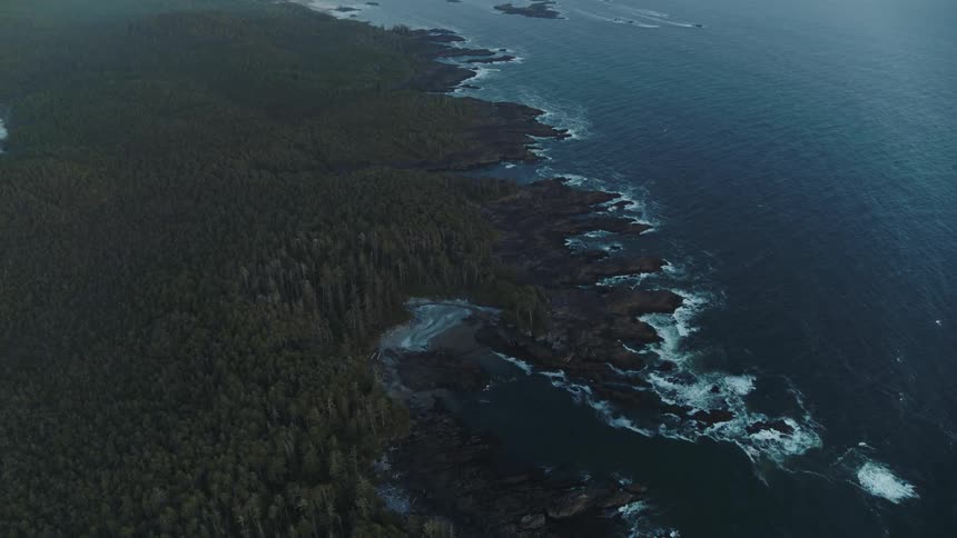 An aerial view of rocky ocean coastline and thick forests
