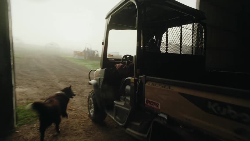 Woman gestures at her dog while driving her truck out of a farm building on a foggy day