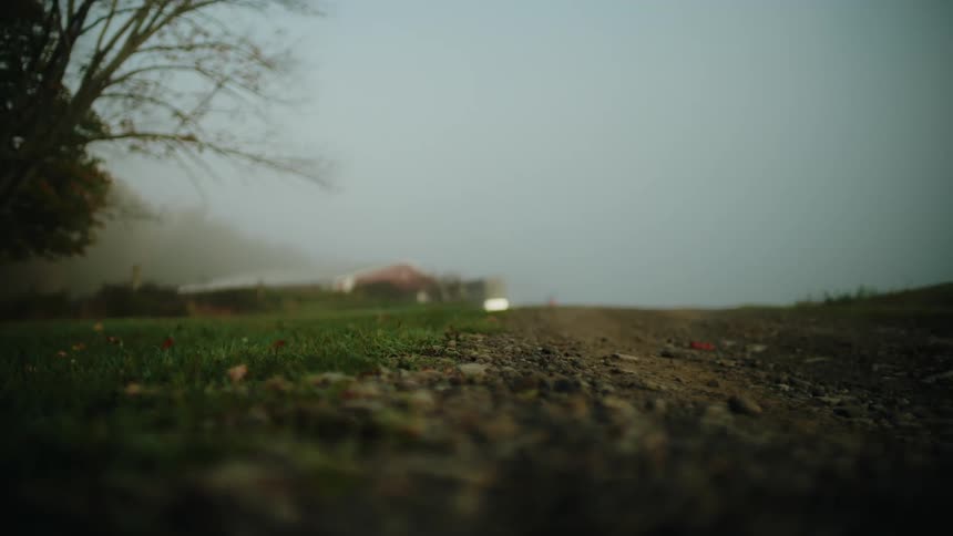 A foggy rural scene with a dirt road leading to a distant barn