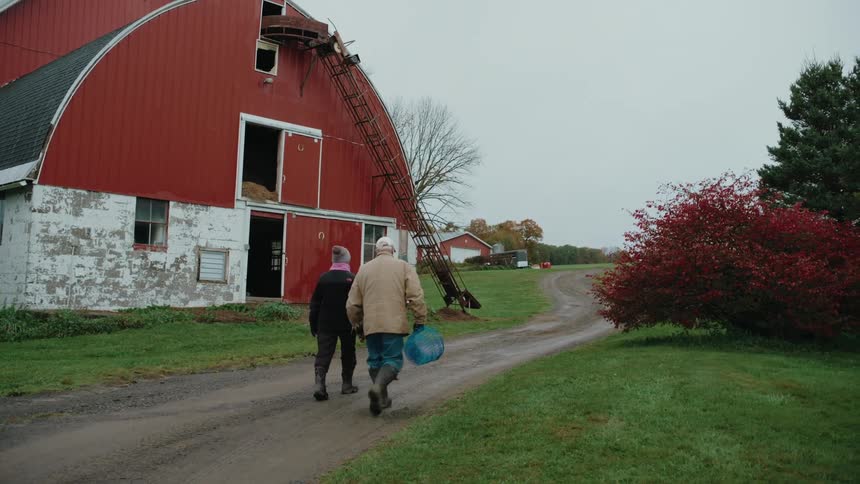 Two people walking on a dirt road in a farm area