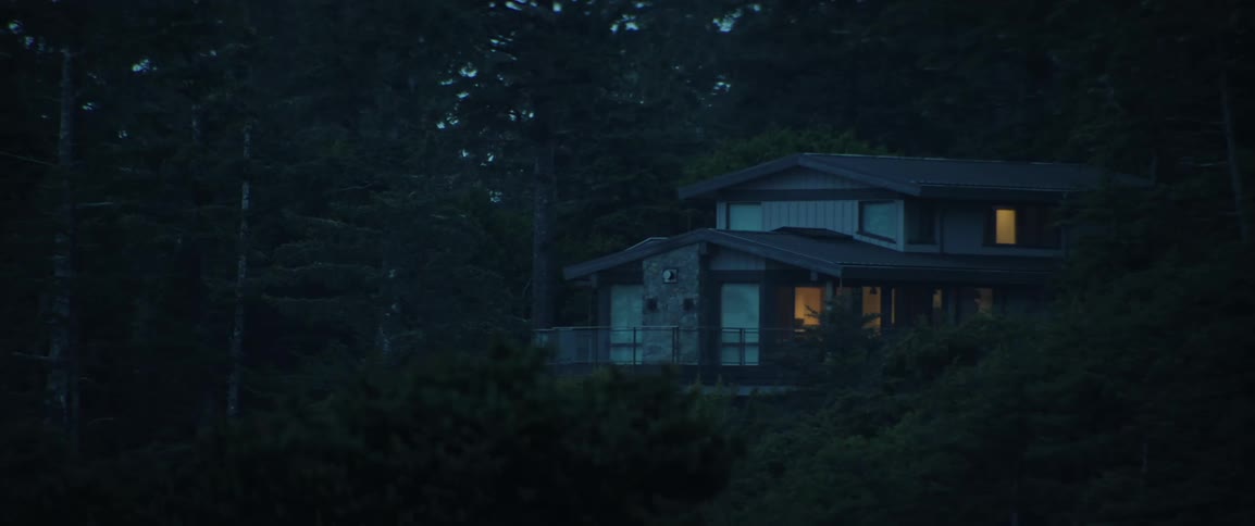 House built on a hill with silhouettes of trees around