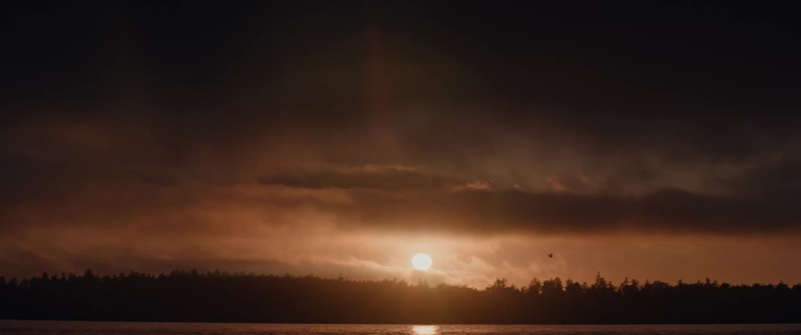 A bird flies over the water at sunset