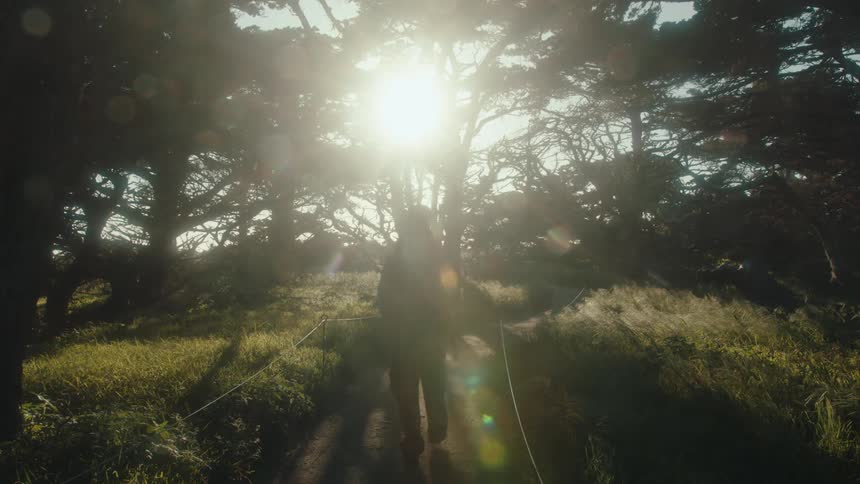 The sun is shining as a person hikes on the forest trail
