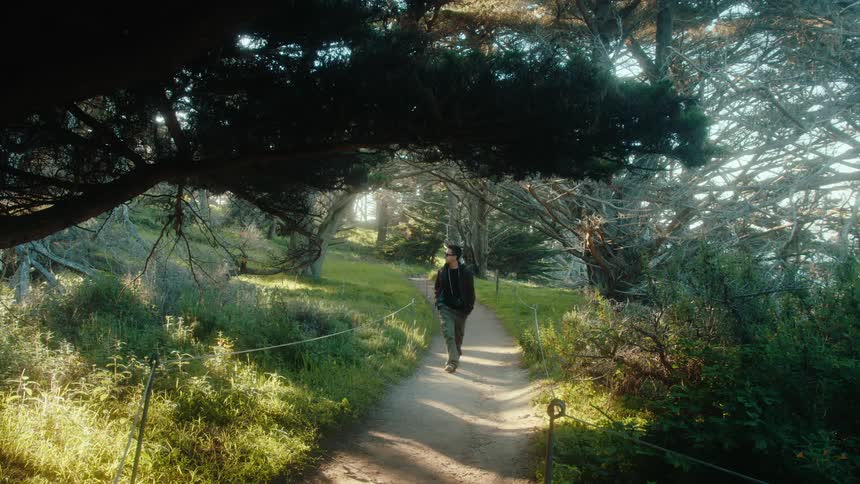A person in a black jacket is walking on a dirt path and on the sides there are several grass trees