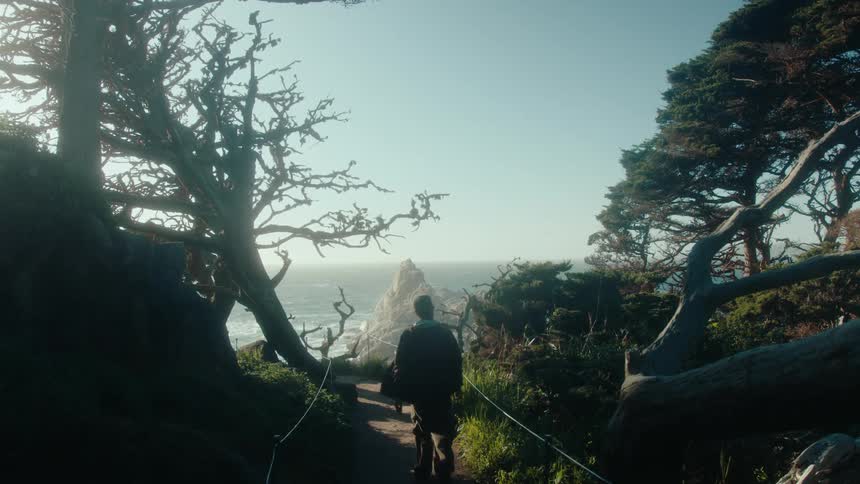 A person is walking along a narrow treelined path towards a rocky coastline with the ocean and a large rock formation