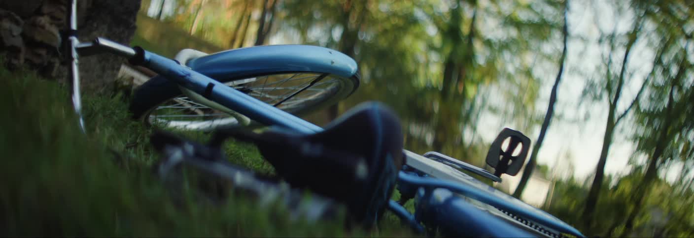 Blue bicycle lies on the lawn near the woods during the day