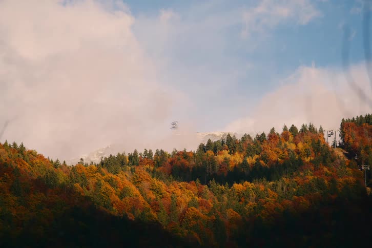 A mountainside ablaze with autumn colors where the vibrant hues of yellow orange and red create a stunning tapestry against the backdrop of a cloudy sky