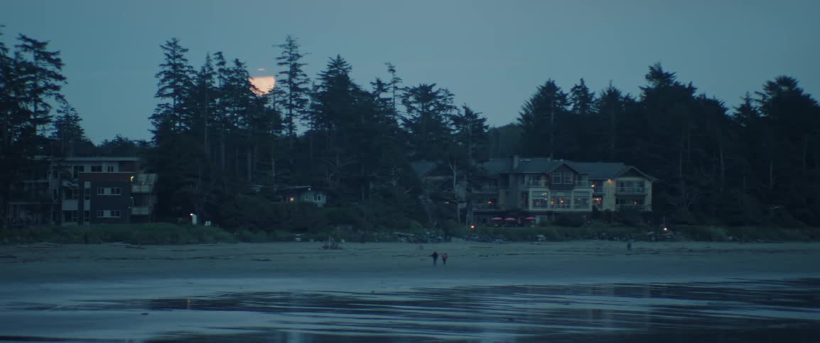 Houses on the beach seen in the evening as the moon rises