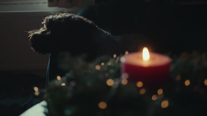 A persons hand lights a candle in a wreath as a dog lays beside it