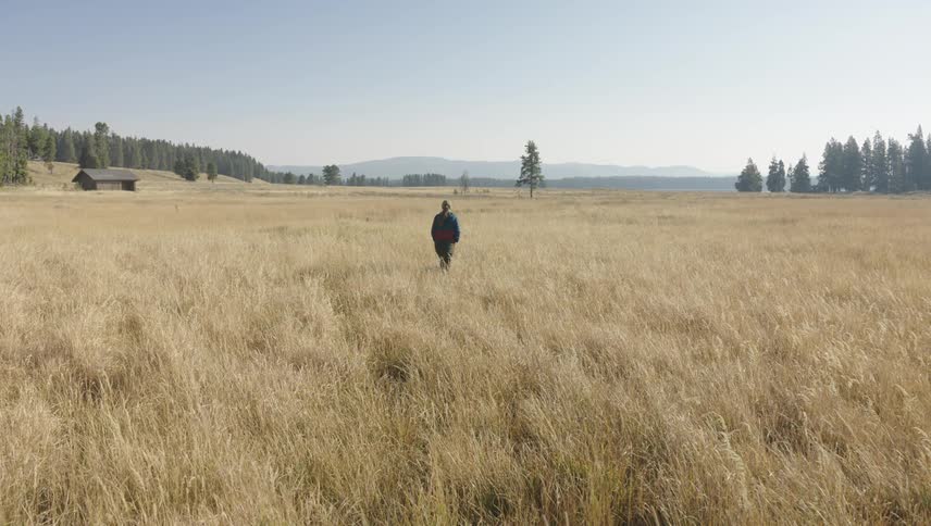 A person walking in a large field of beige grass with a house in the background and forests on the other side