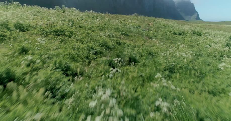 A vast green meadow stretching towards a mountain range shrouded in mist