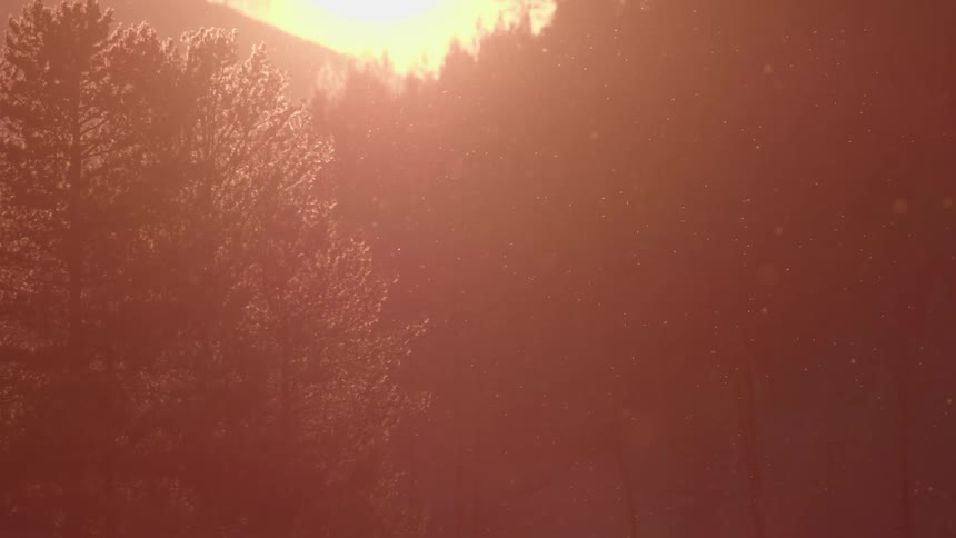 A serene sunset scene where the sun casts a golden glow through a hazy forest illuminating the leaves and creating a warm peaceful atmosphere