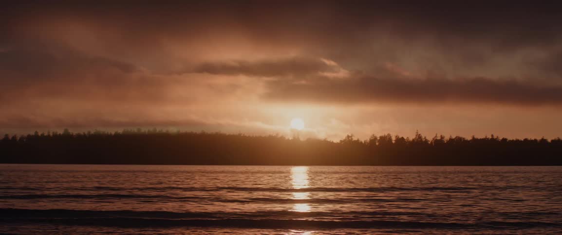 Sunset over trees and gentle lapping water from the ocean