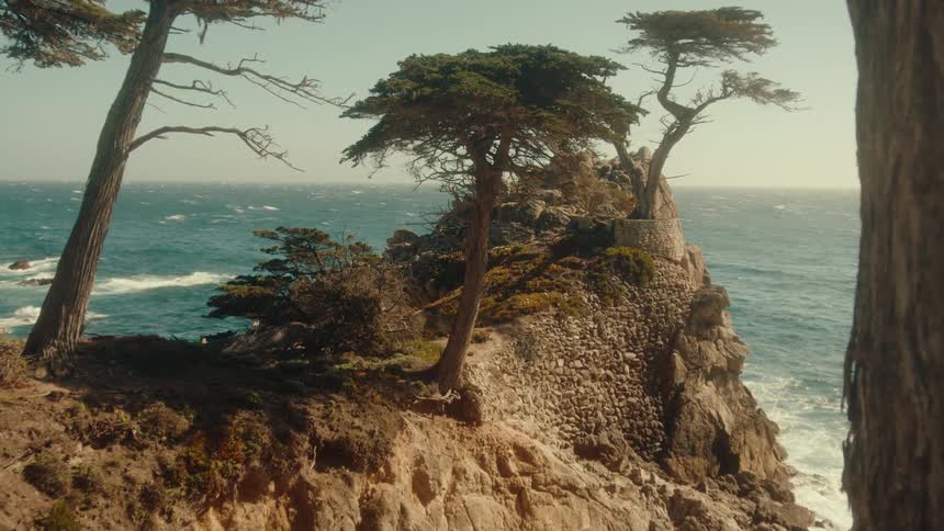 Trees line a rock cliff overlooking the ocean
