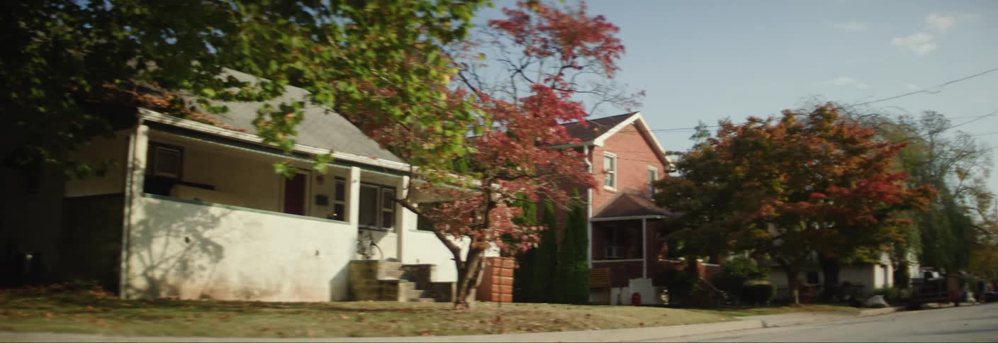A neighborhood with several houses of different colors and several trees between them