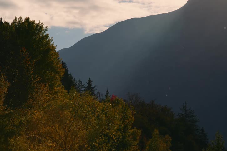A mountain is partially covered in shadow with sunlight illuminating the tops of autumn colored trees
