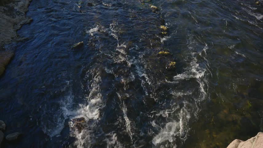 A river with clear flowing water moves over rocks creating white water rapids and visible turbulence
