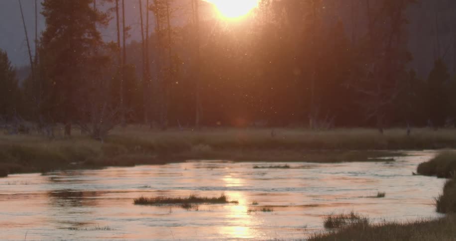 Insects fly over a stream near the mountains at sunset