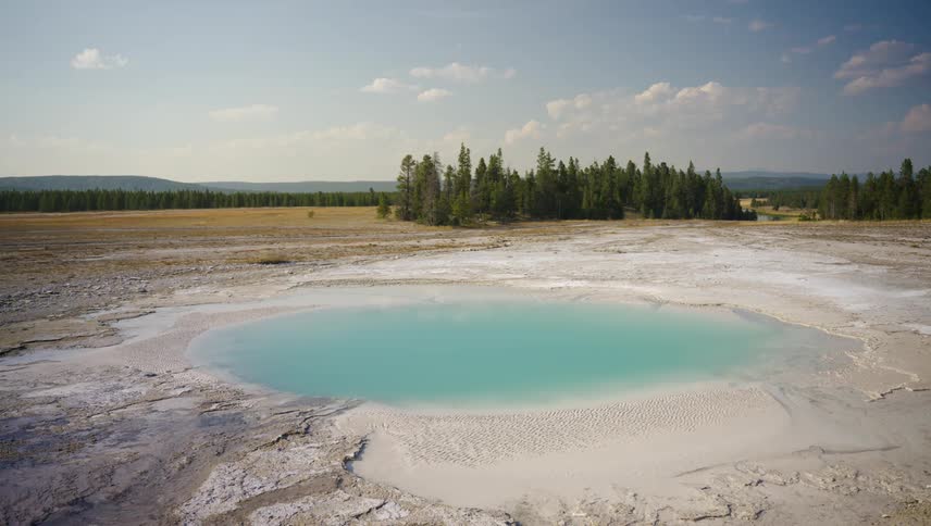 A small water spring is on the field