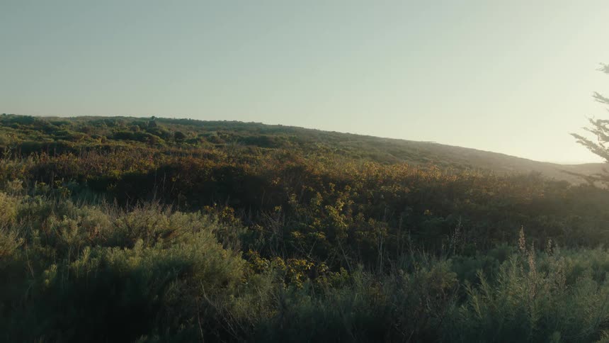 Man walks on a hill in the rural countryside during the daytime