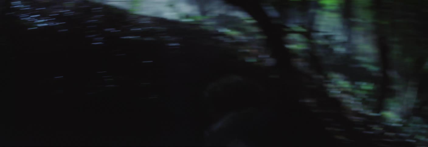 Four teenage boys run on a forest path in the dark